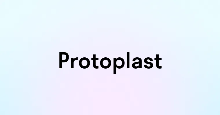 Protoplast