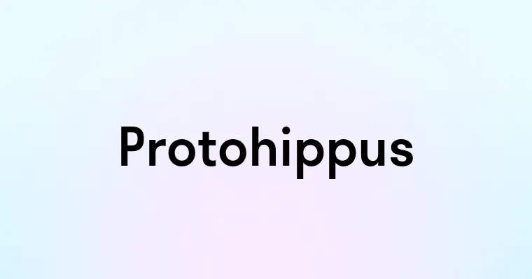 Protohippus