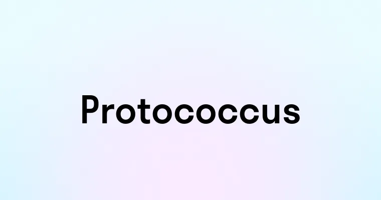 Protococcus