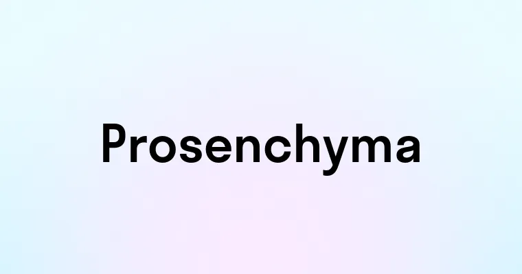 Prosenchyma