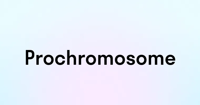 Prochromosome