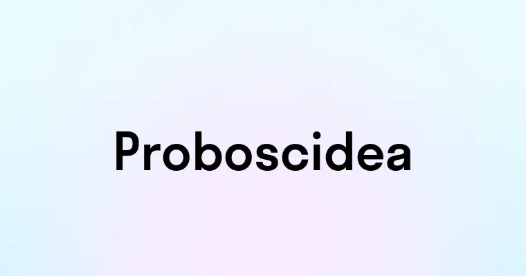 Proboscidea