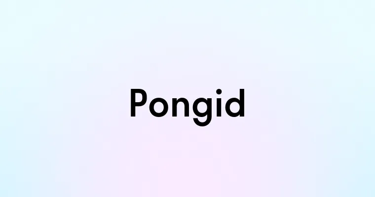 Pongid