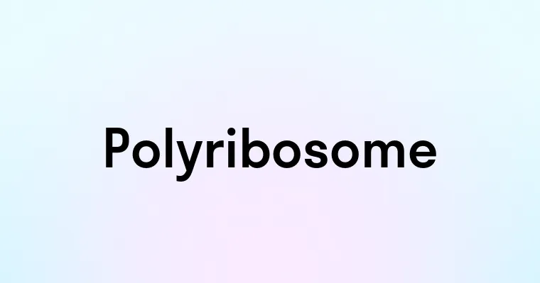 Polyribosome