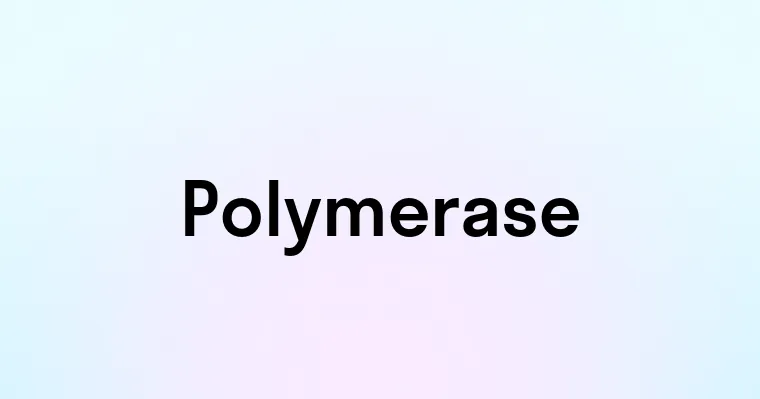 Polymerase