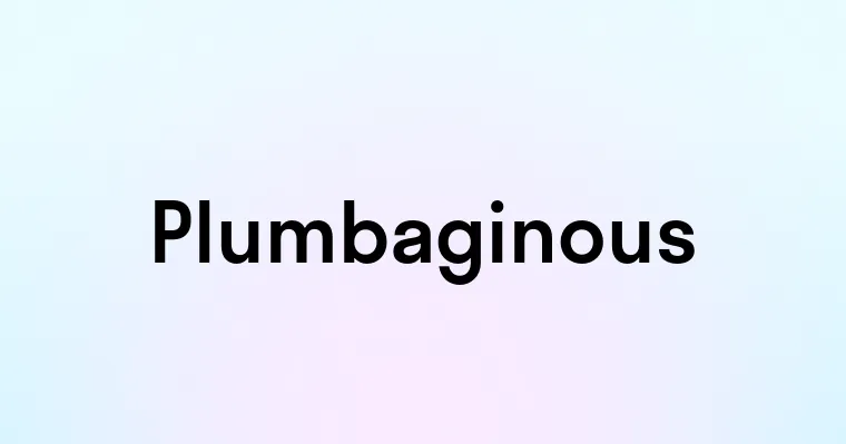 Plumbaginous