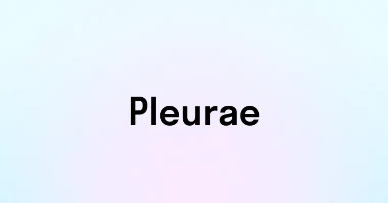 Pleurae