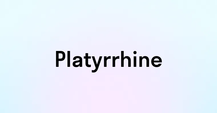 Platyrrhine