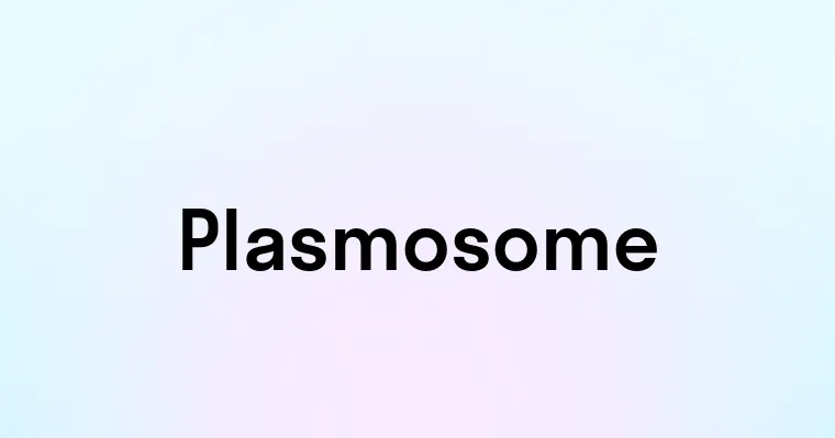 Plasmosome