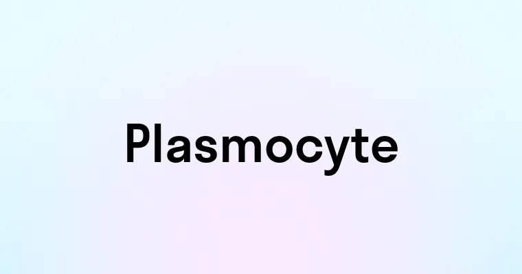 Plasmocyte