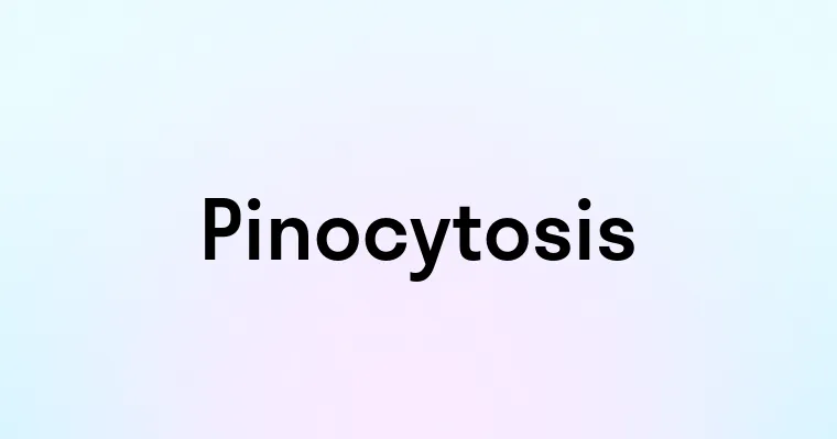 Pinocytosis