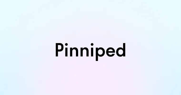 Pinniped