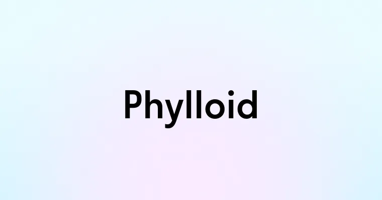 Phylloid