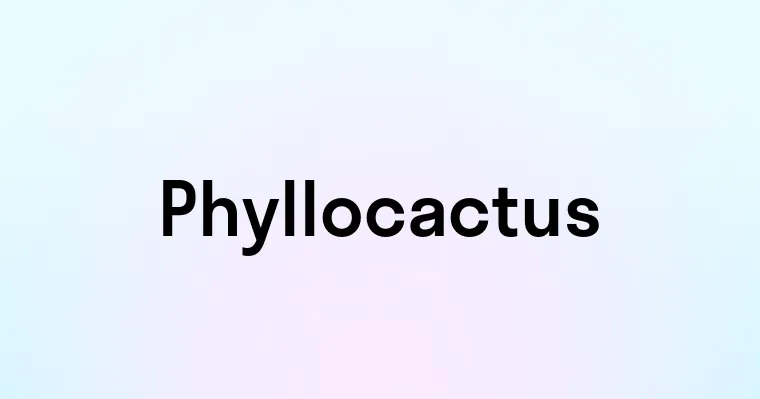 Phyllocactus