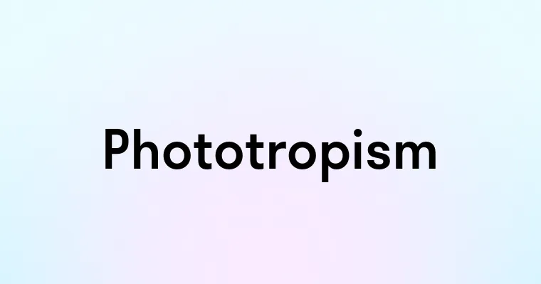 Phototropism