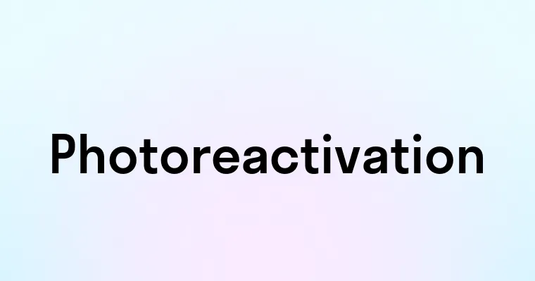 Photoreactivation