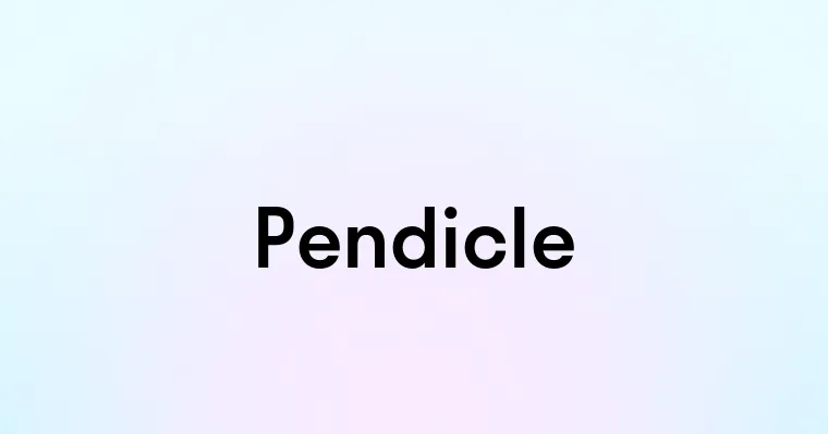 Pendicle