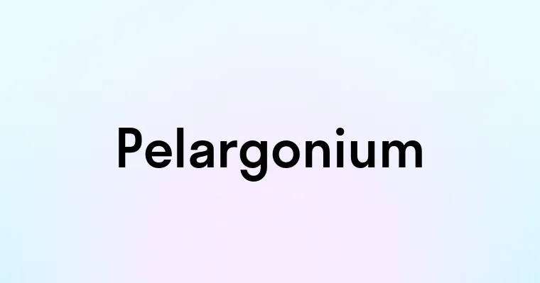 Pelargonium