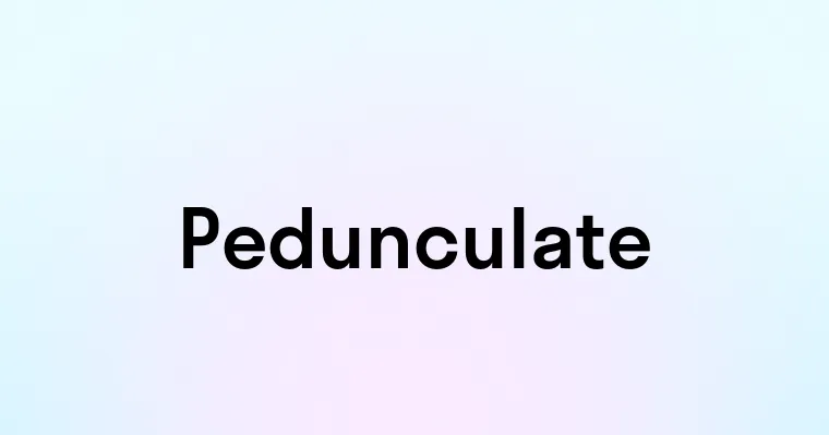 Pedunculate — перевод, транскрипция, произношение и примеры
