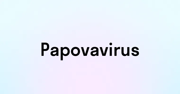 Papovavirus