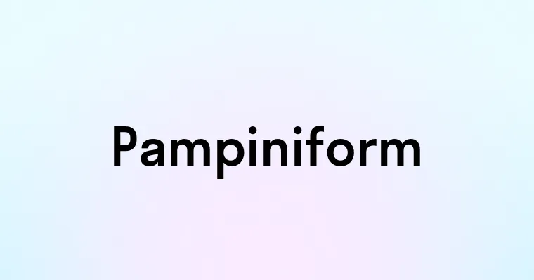 Pampiniform