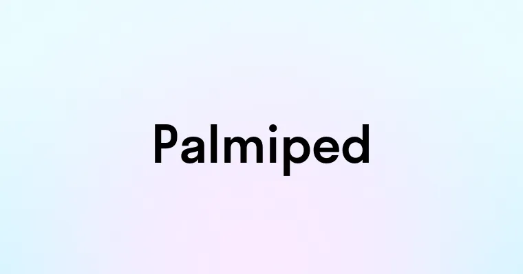 Palmiped