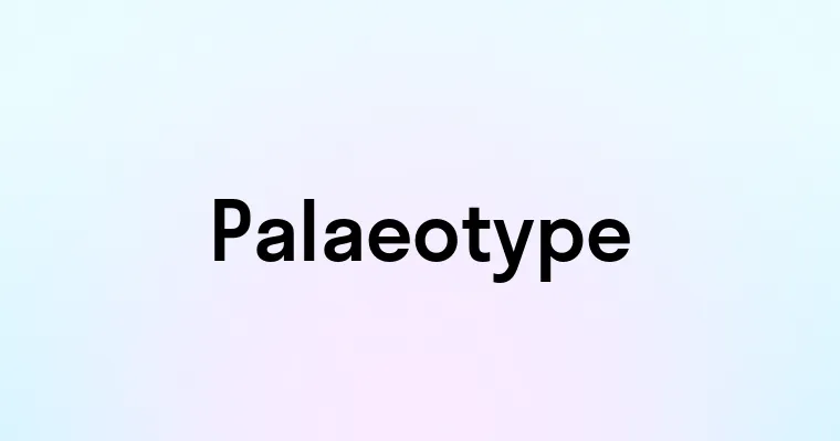 Palaeotype