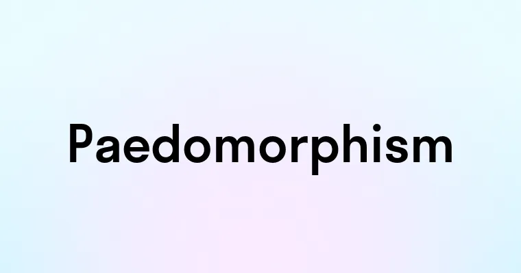 Paedomorphism