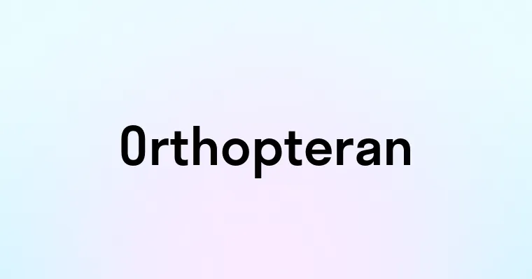 Orthopteran