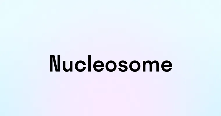 Nucleosome