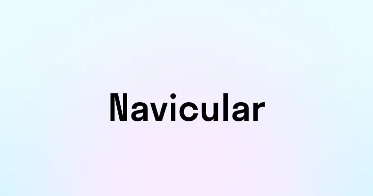 Navicular