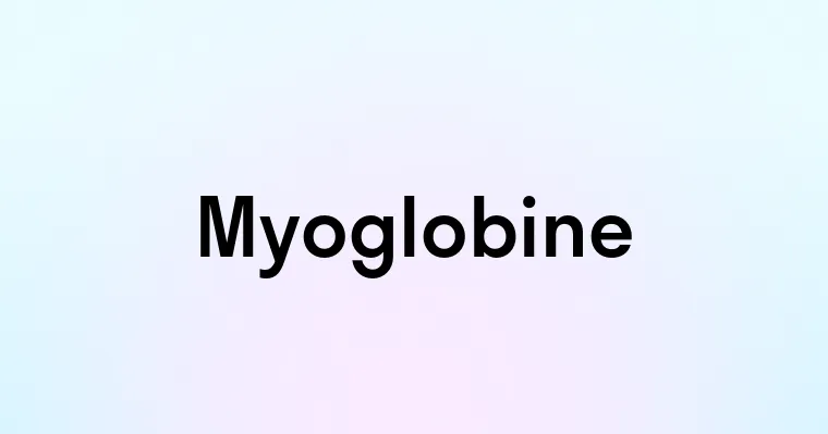 Myoglobine