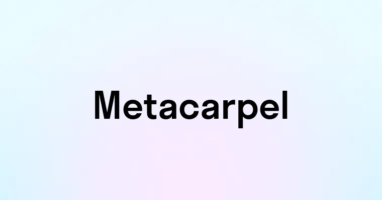 Metacarpel