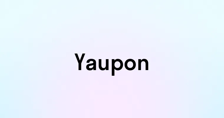 Yaupon