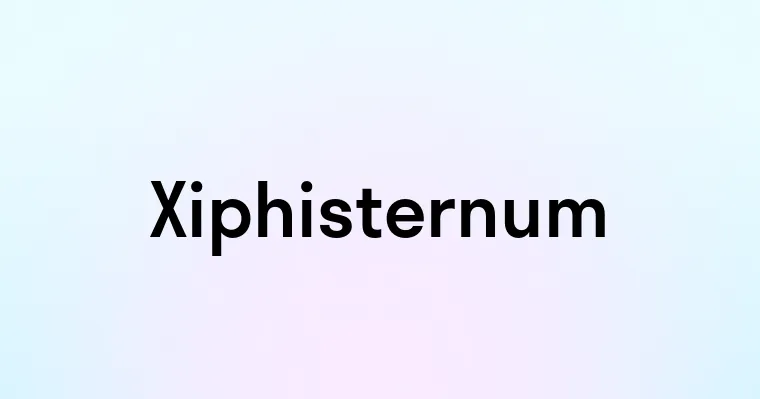 Xiphisternum