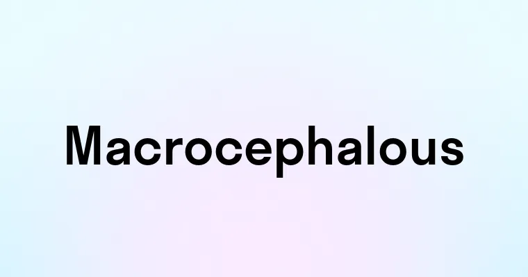 Macrocephalous