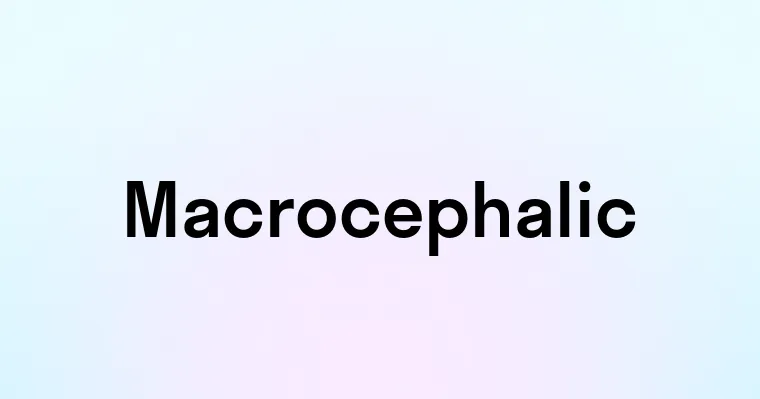 Macrocephalic