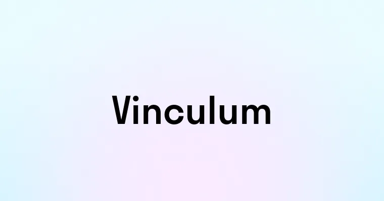 Vinculum