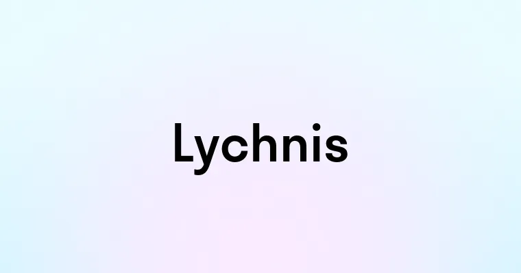 Lychnis