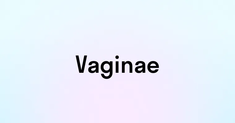 Vaginae