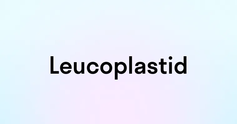 Leucoplastid