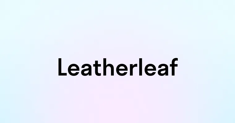 Leatherleaf