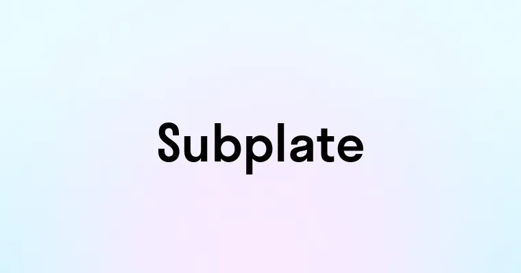 Subplate