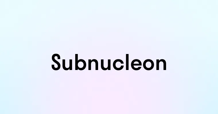 Subnucleon