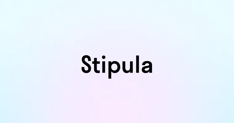 Stipula