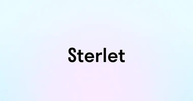 Sterlet