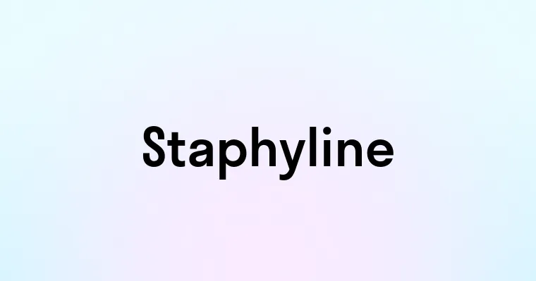 Staphyline