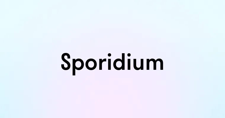 Sporidium