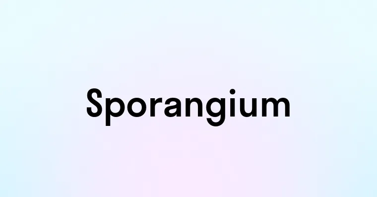 Sporangium