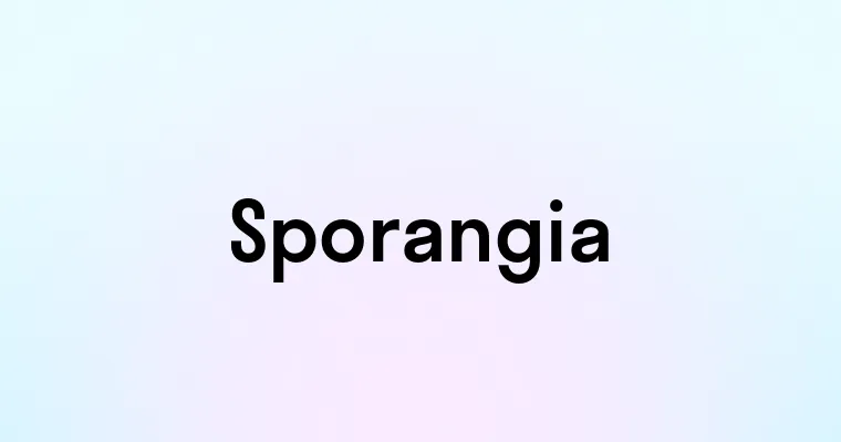 Sporangia